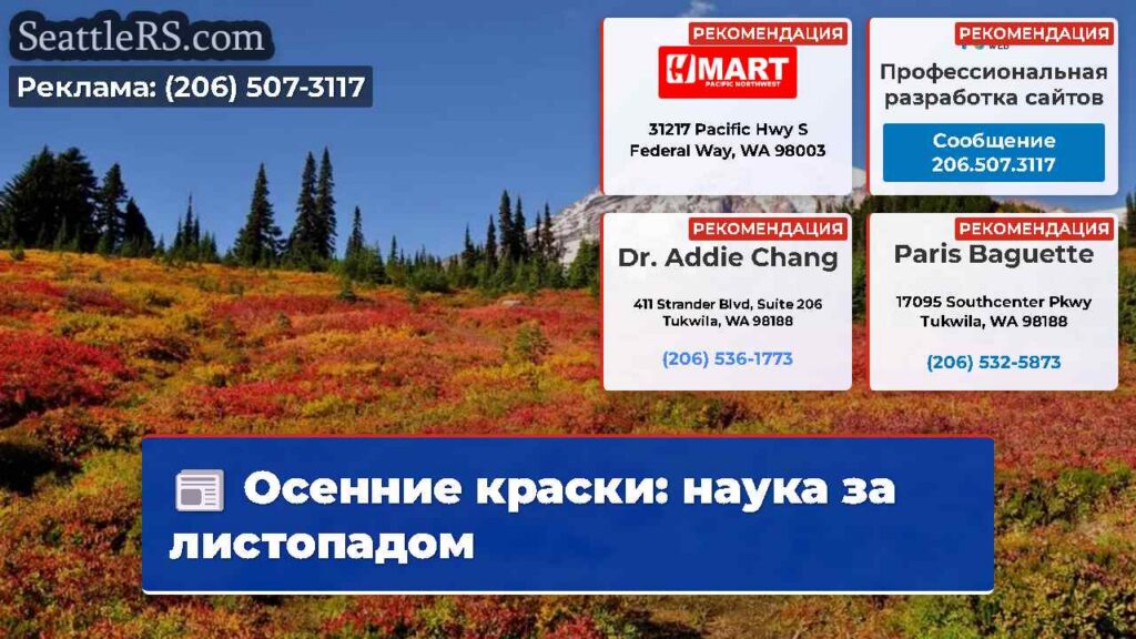 Осенние краски: наука за листопадом