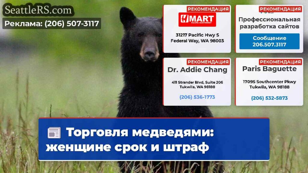 Торговля медведями: женщине срок и штраф
