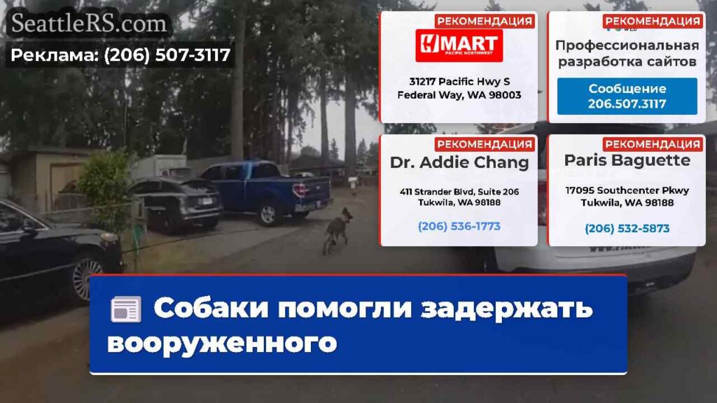 Собаки помогли задержать вооруженного