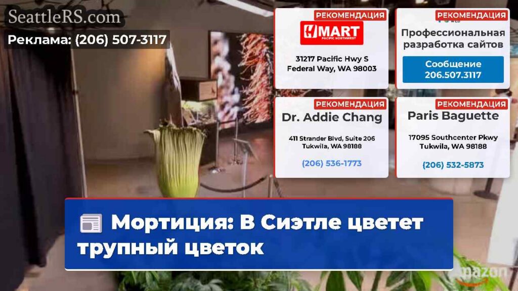 Мортиция: В Сиэтле цветет трупный цветок