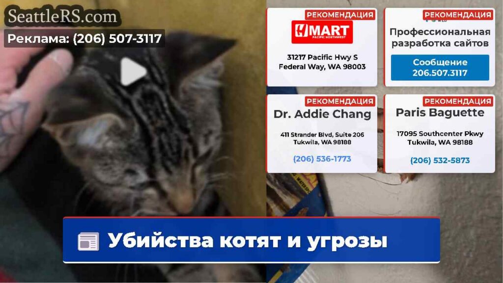 Убийства котят и угрозы