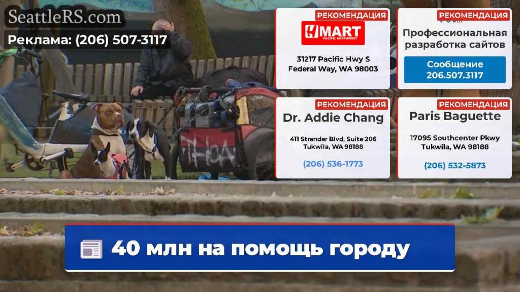 40 млн на помощь городу