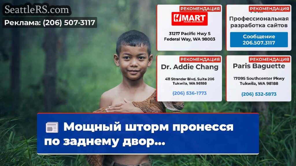 Мощный шторм пронесся по заднему двор...