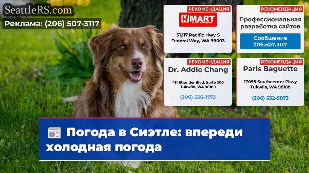 Погода в Сиэтле: впереди холодная погода