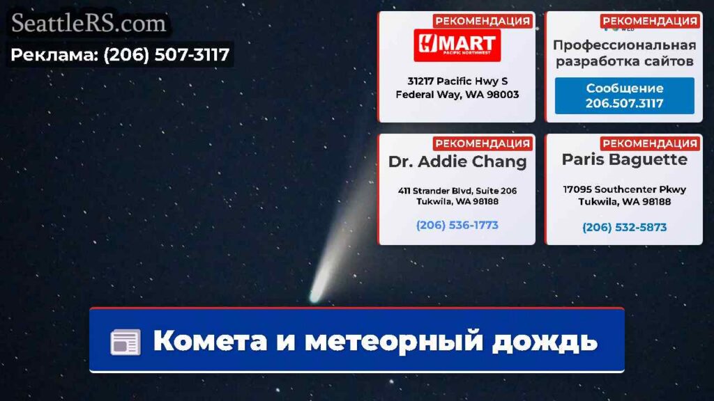 Комета и метеорный дождь