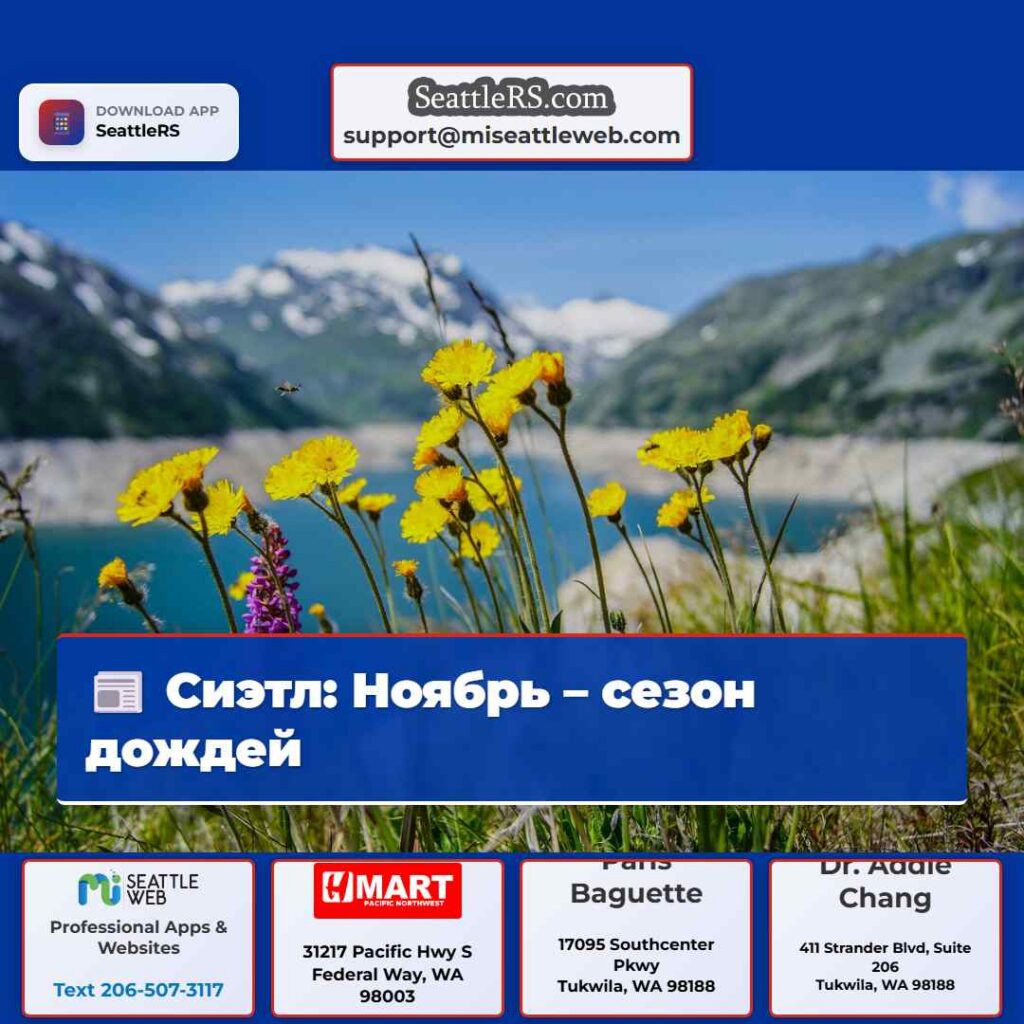 Сиэтл: Ноябрь – сезон дождей