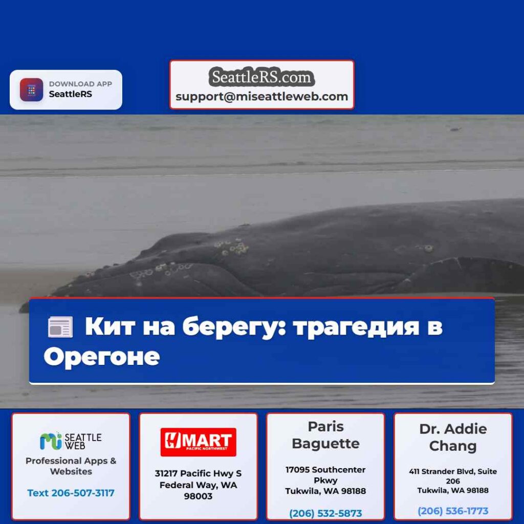 Кит на берегу: трагедия в Орегоне