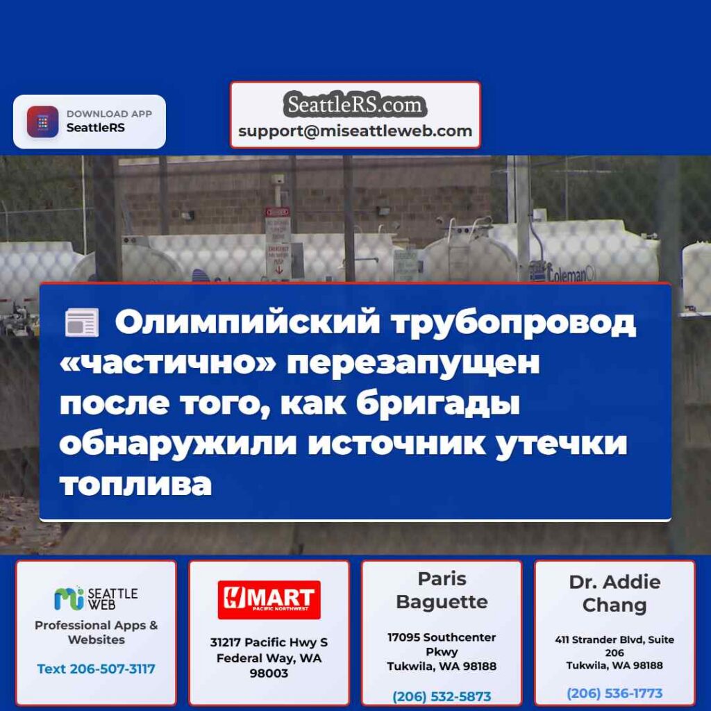 Олимпийский трубопровод «частично» перезапущен