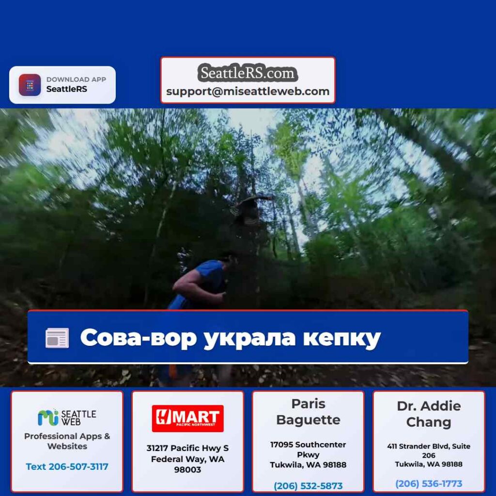 Сова-вор украла кепку