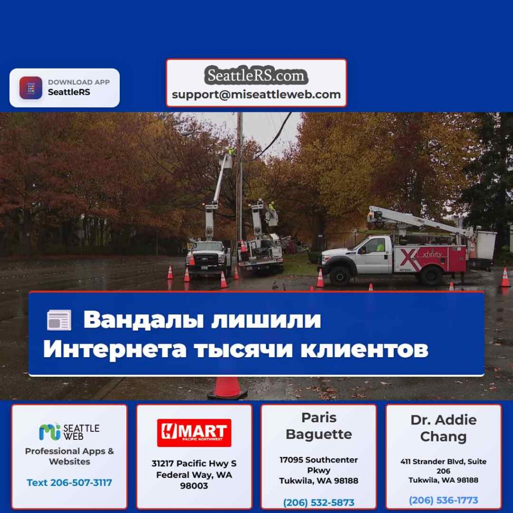 Вандалы лишили Интернета тысячи клиентов