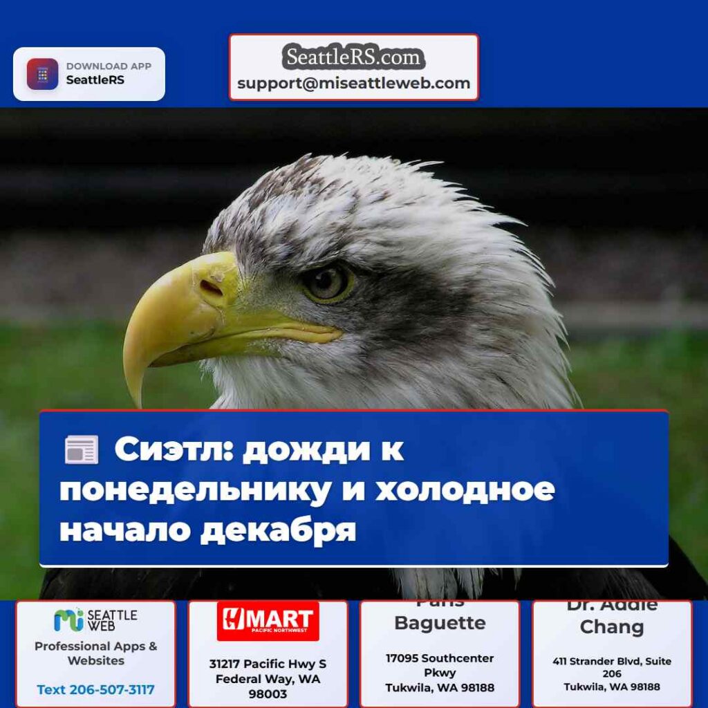 Сиэтл: дожди к понедельнику и холодное начало