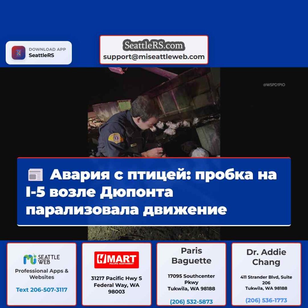 Авария с птицей: пробка на I-5 возле Дюпонта