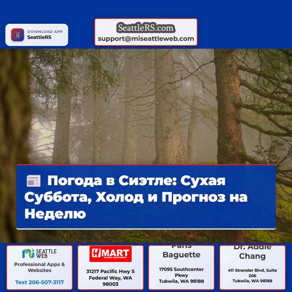 Погода в Сиэтле: Сухая Суббота, Холод и Прогноз