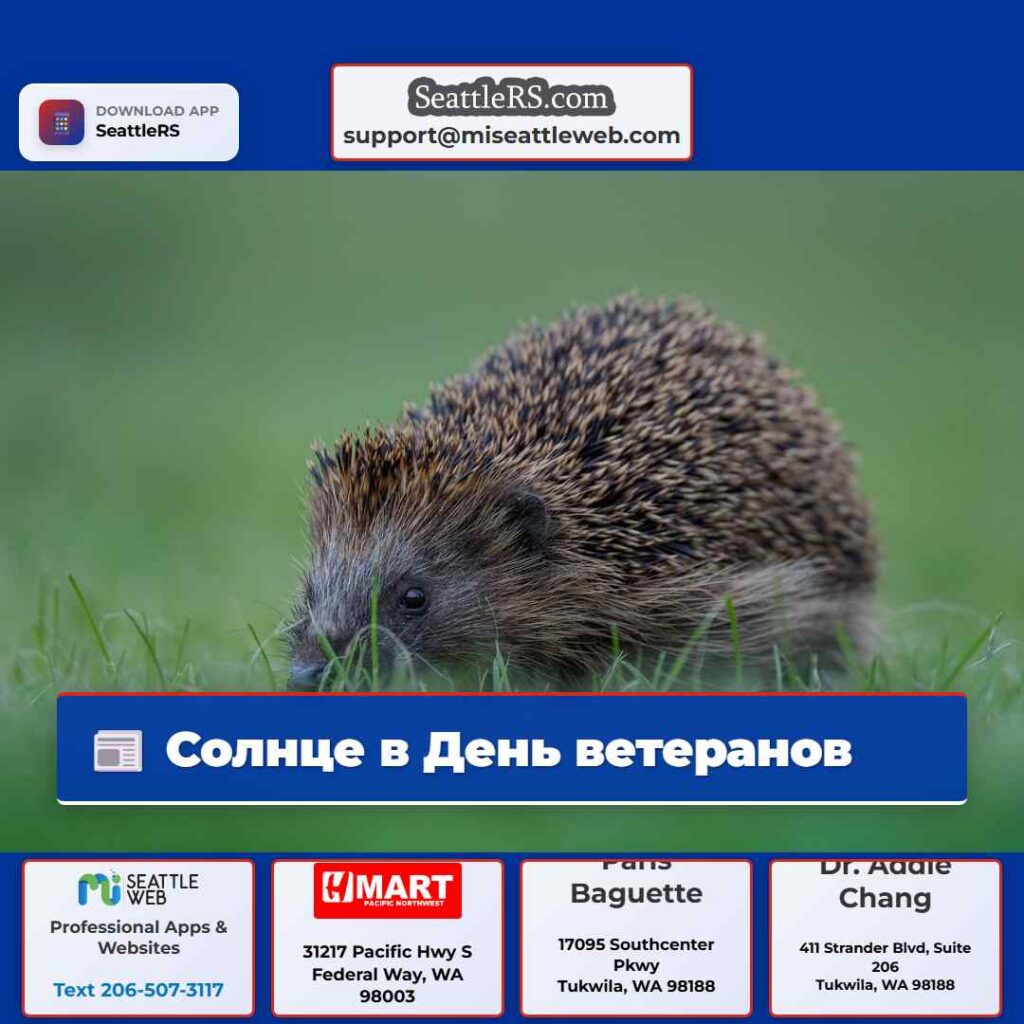 Солнце в День ветеранов