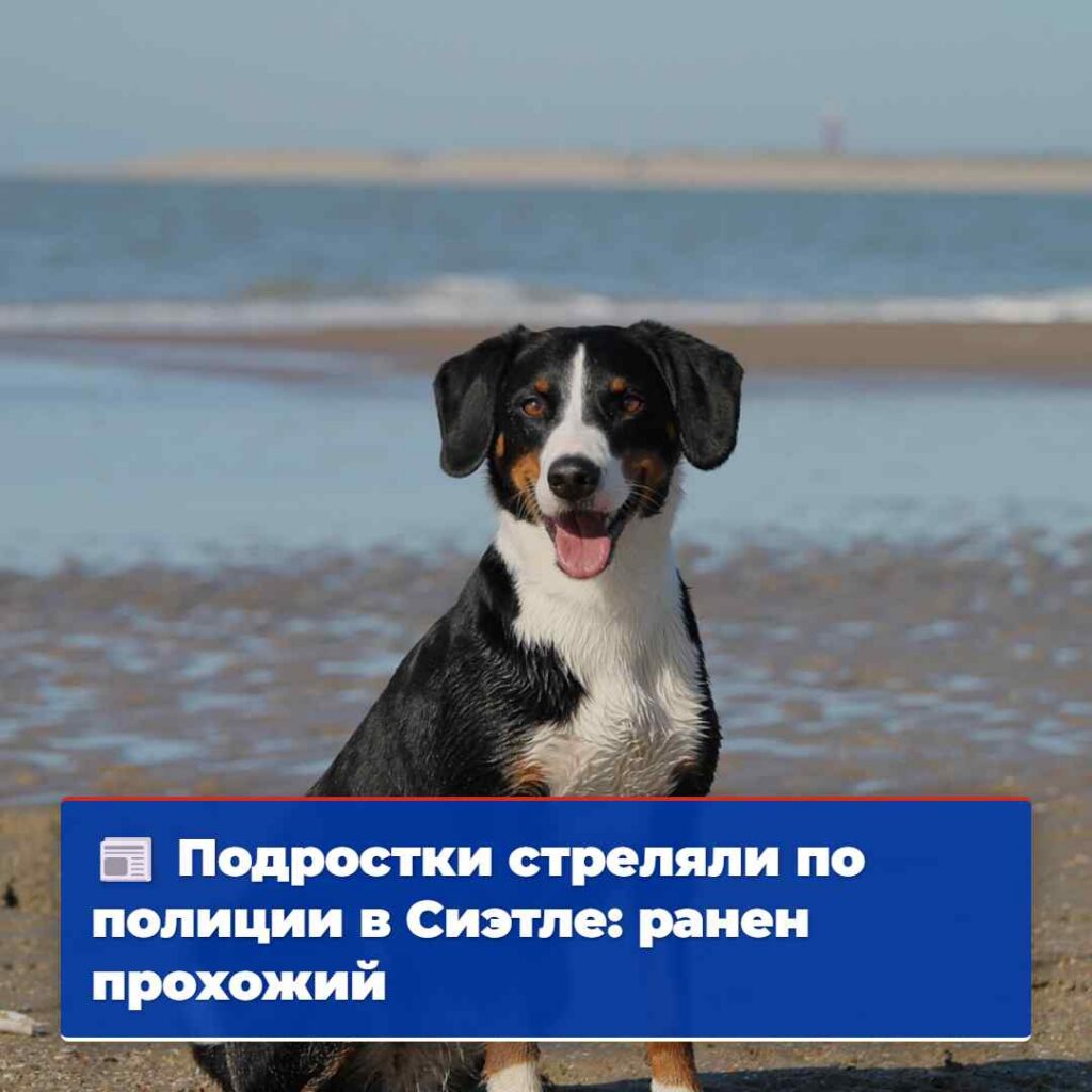 Подростки стреляли по полиции в Сиэтле: ранен