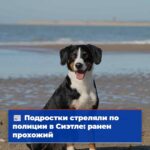 Подростки открыли огонь по полицейским в Сиэтле ранен прохожий