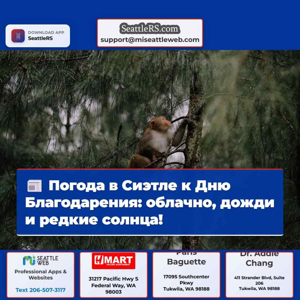 Погода в Сиэтле к Дню Благодарения: облачно,