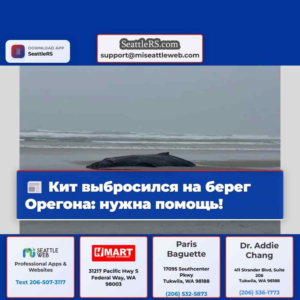 Кит выбросился на берег Орегона: нужна помощь!