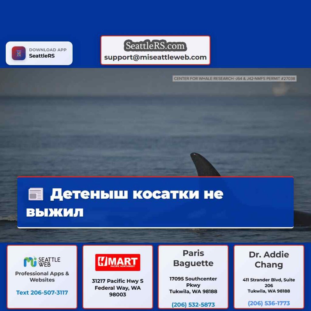 Детеныш косатки не выжил