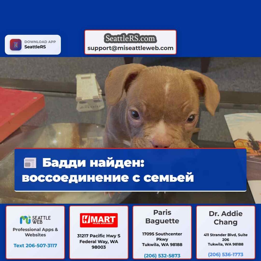 Бадди найден: воссоединение с семьей