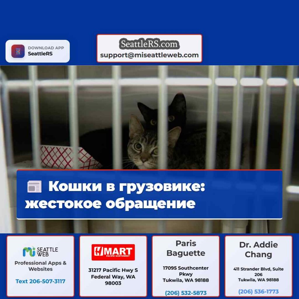 Кошки в грузовике: жестокое обращение