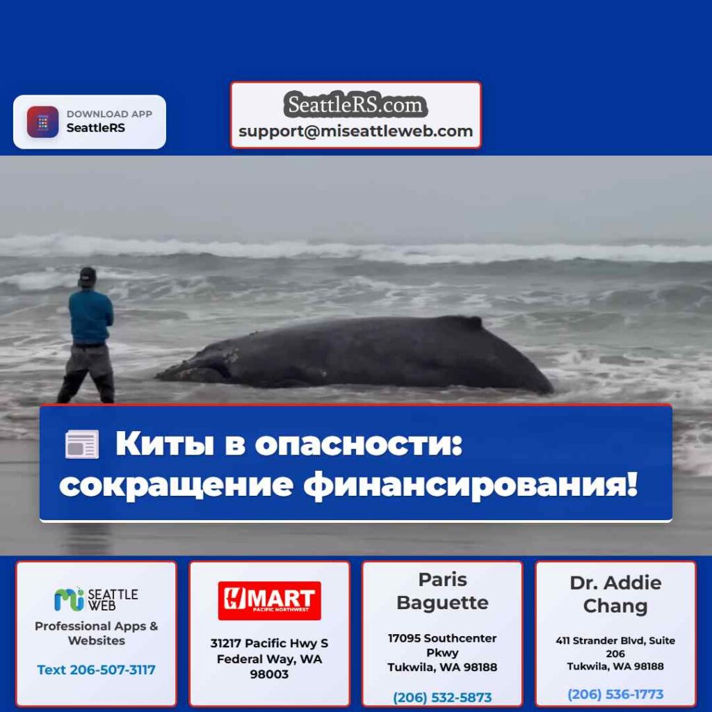 Киты в опасности: сокращение финансирования!