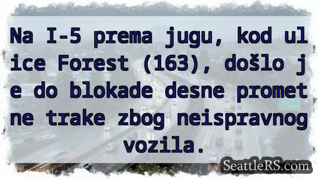 Prometna blokada I-5 (163)