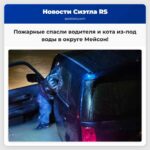 Пожарные спасли водителя и его кота из затопленного автомобиля в округе Мейсон
