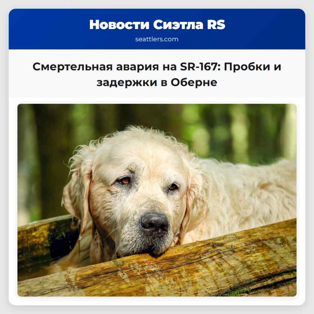 Смертельная авария на SR-167: Пробки и задержки в