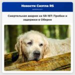 Смертельная авария на трассе SR-167 в Оберне вызвала серьезные заторы