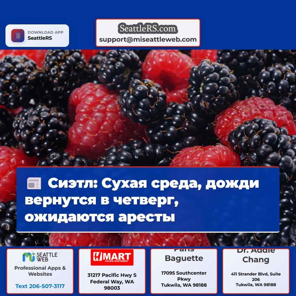Сиэтл: Сухая среда, дожди вернутся в четверг,