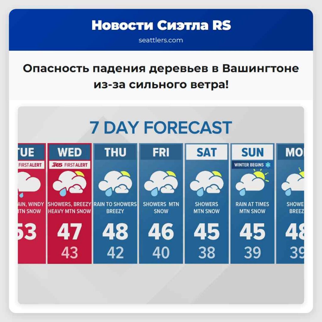 Опасность падения деревьев в Вашингтоне из-за