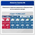 Угроза падения деревьев в западной Вашингтоне из-за сильного ветра предупреждение от Национальной метеорологической службы