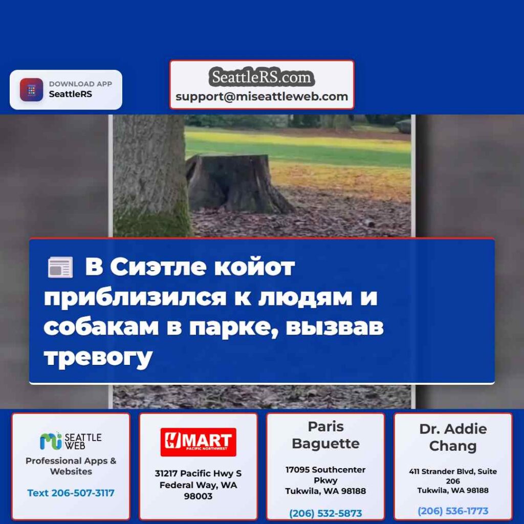 В Сиэтле койот приблизился к людям и собакам в