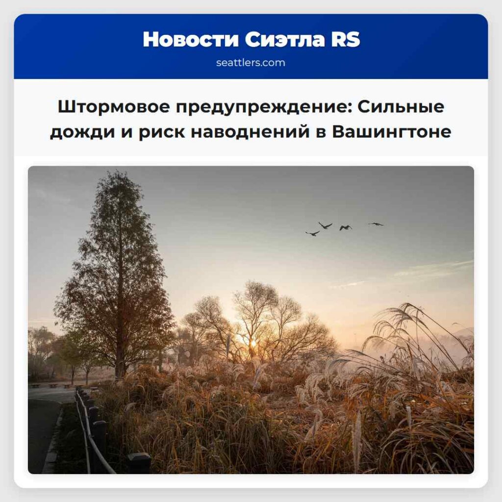 Штормовое предупреждение: Сильные дожди и риск