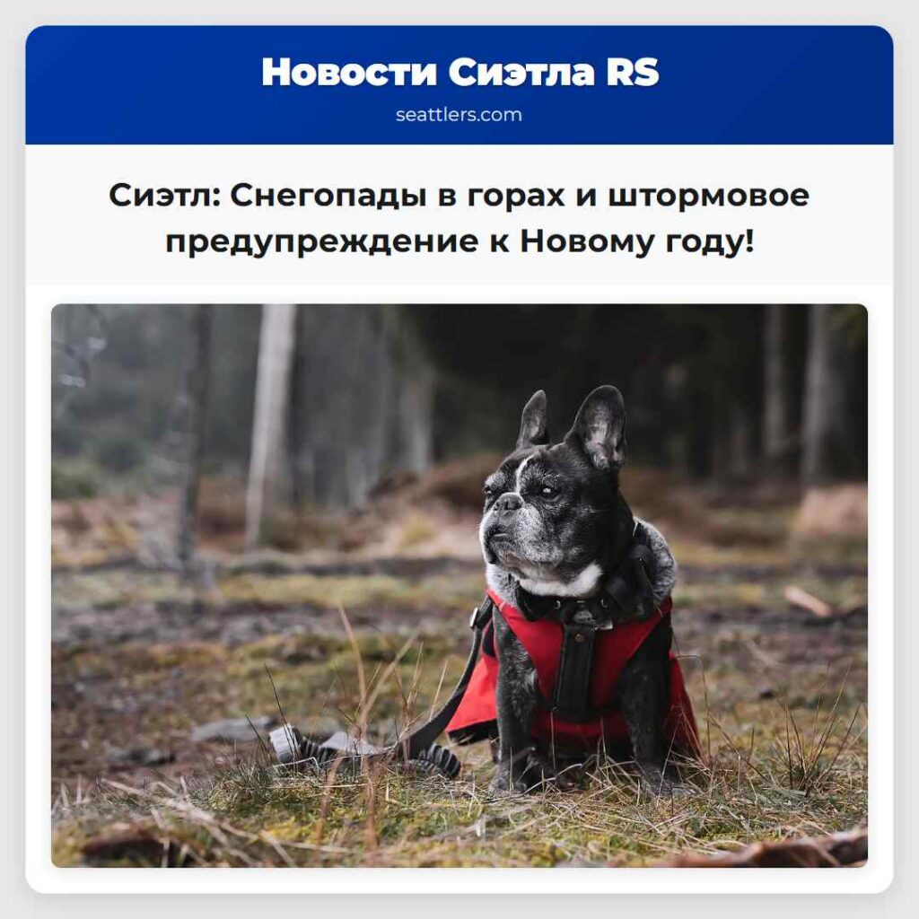 Сиэтл: Снегопады в горах и штормовое