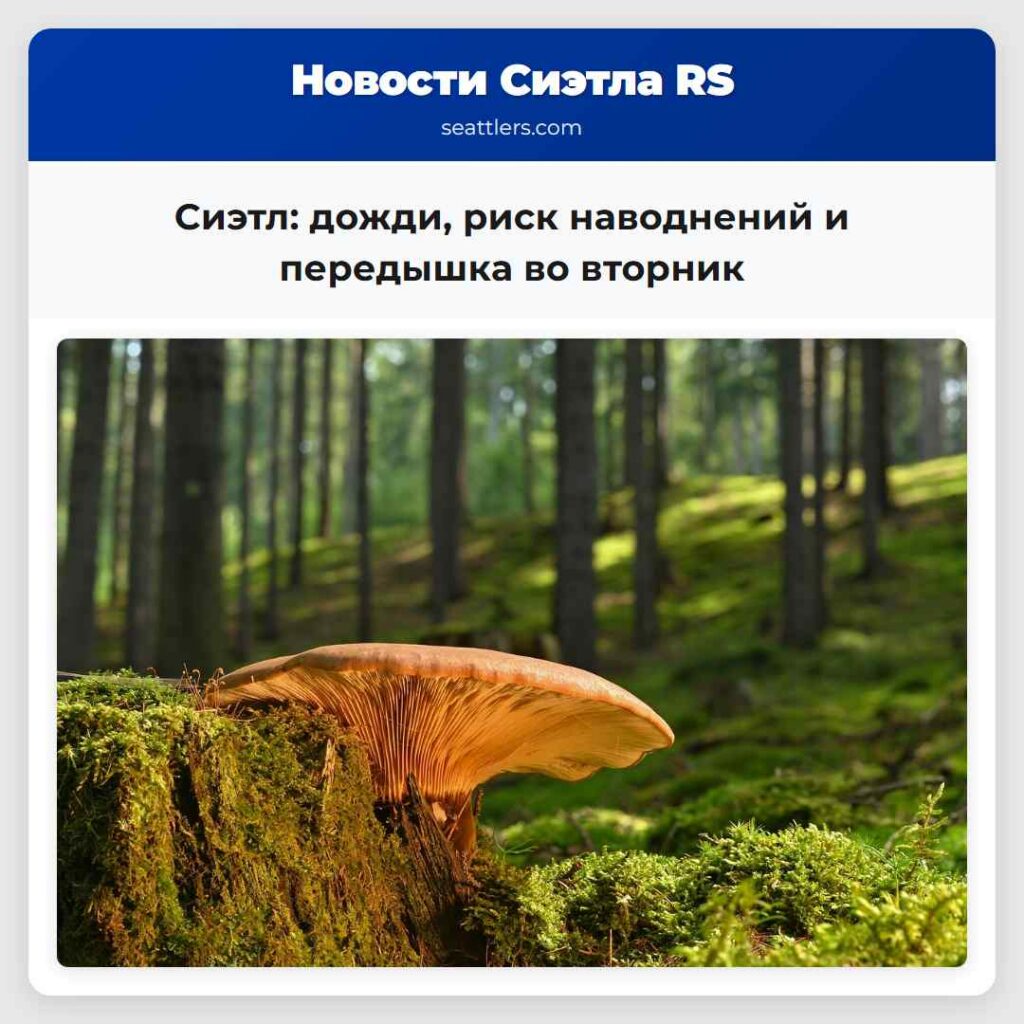 Сиэтл: дожди, риск наводнений и передышка во