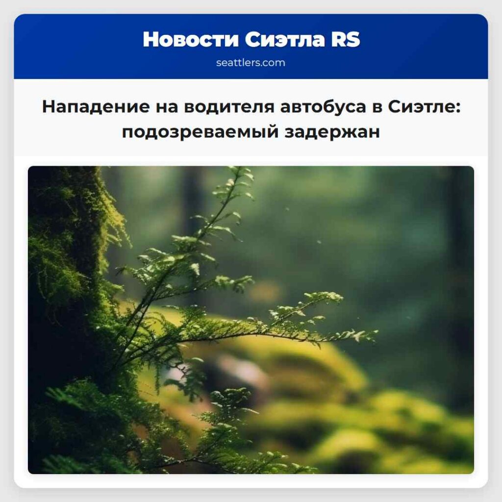 Нападение на водителя автобуса в Сиэтле: