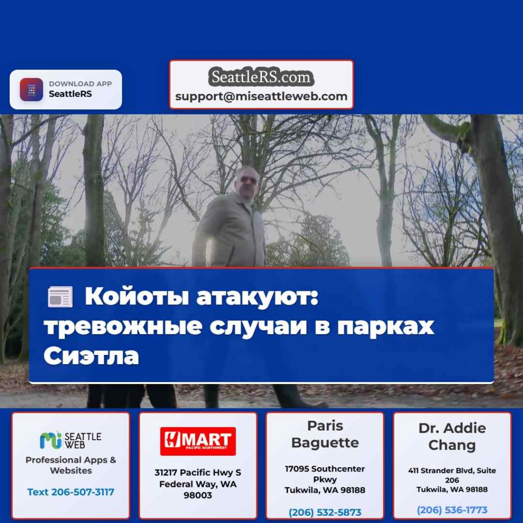 Койоты атакуют: тревожные случаи в парках Сиэтла