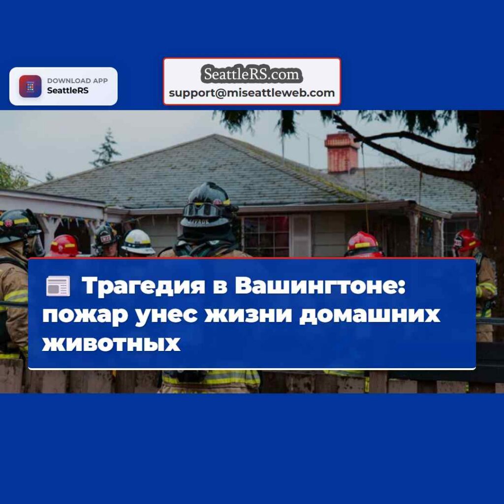Трагедия в Вашингтоне: пожар унес жизни домашних