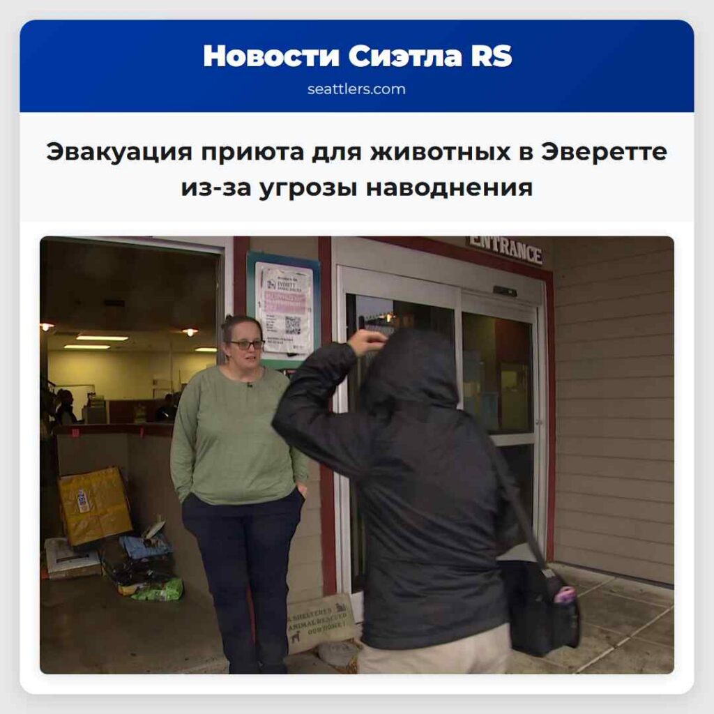 Эвакуация приюта для животных в Эверетте из-за