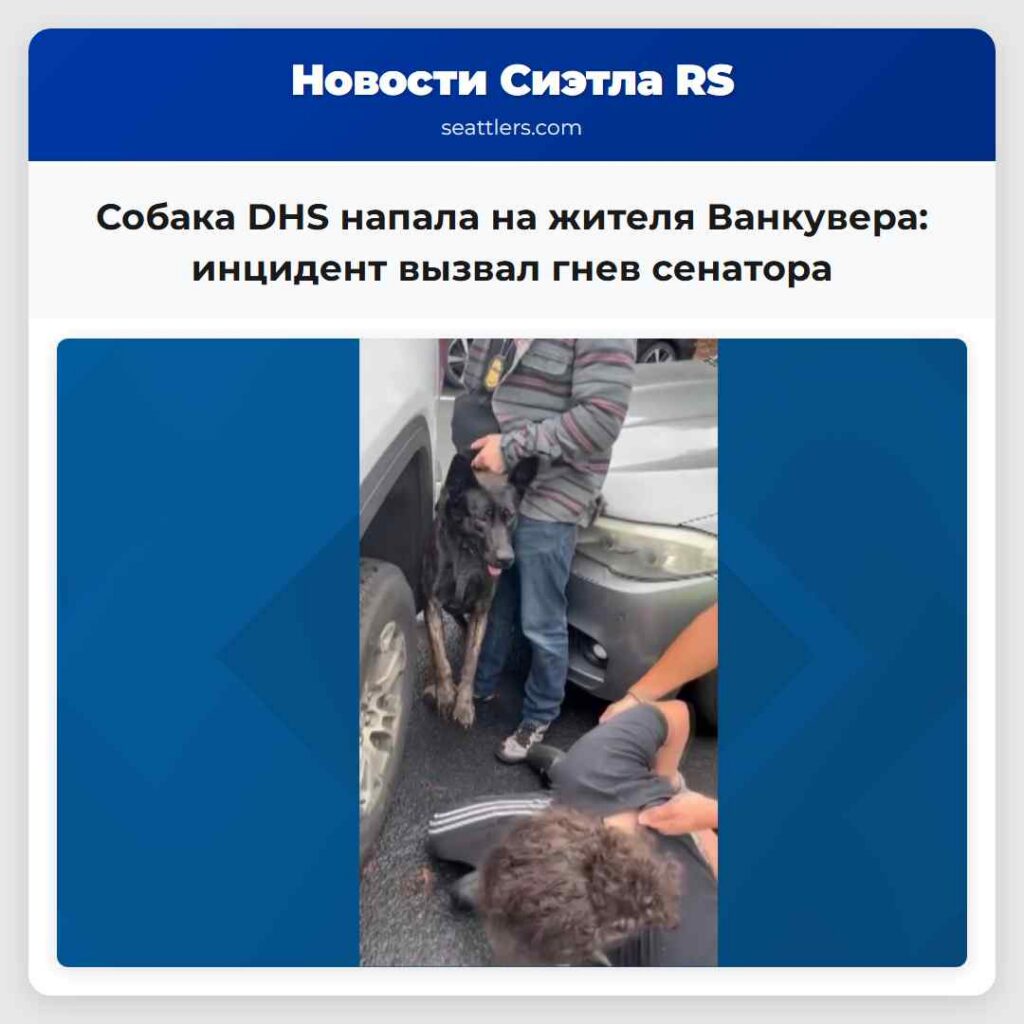 Собака DHS напала на жителя Ванкувера: инцидент