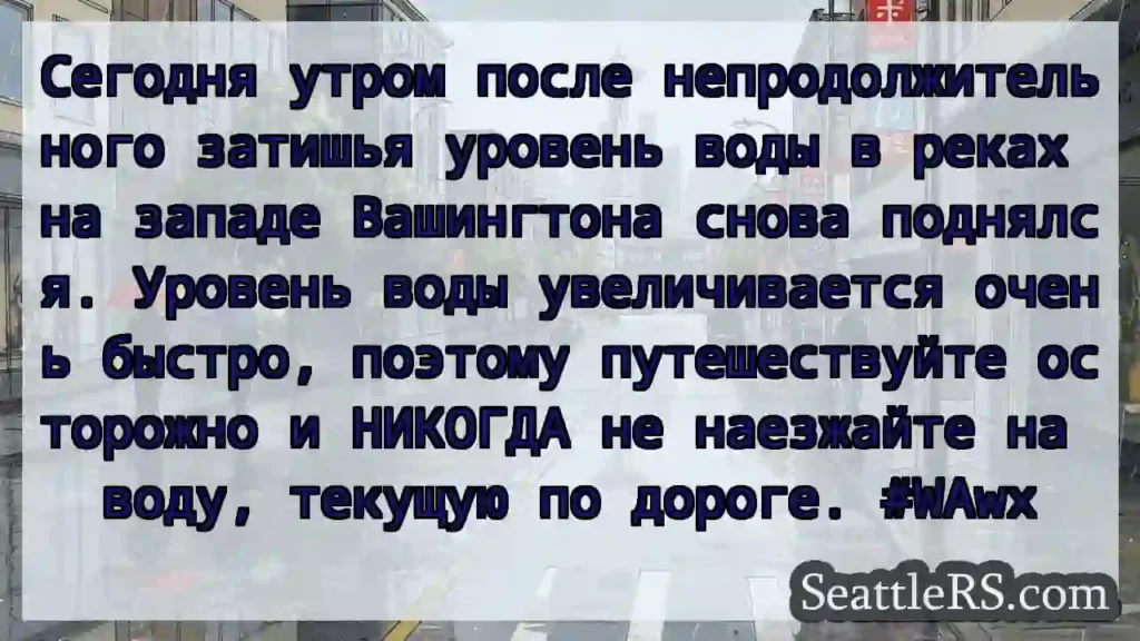 Сегодня утром после непродолжительного затишья