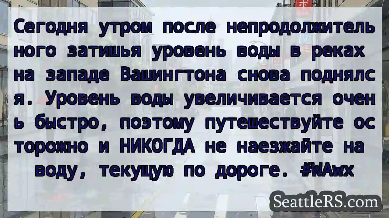 Сегодня утром после непродолжительного затишья