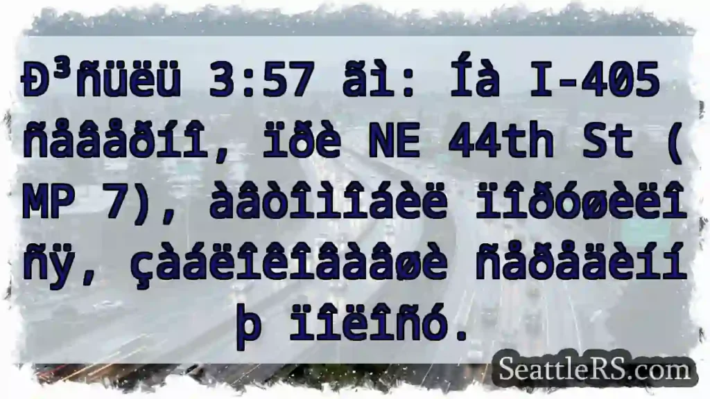 Îíå ìîðäà! I-405 ñåâåð.