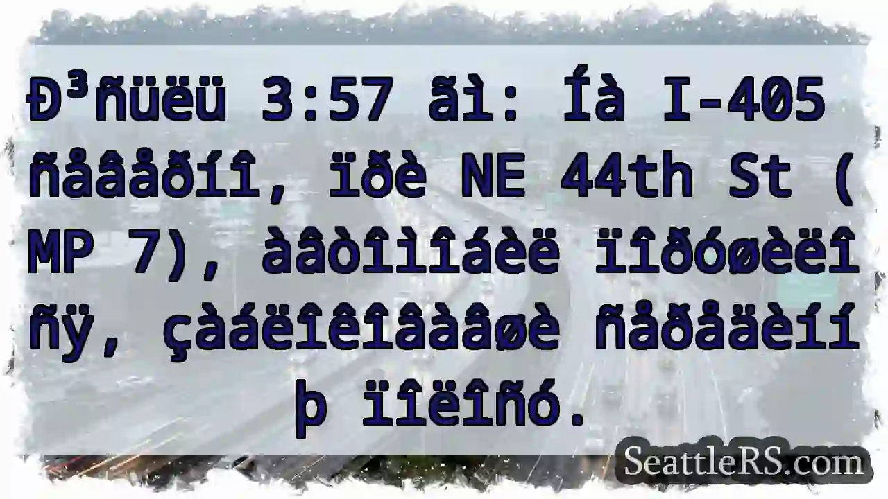 Îíå ìîðäà! I-405 ñåâåð.
