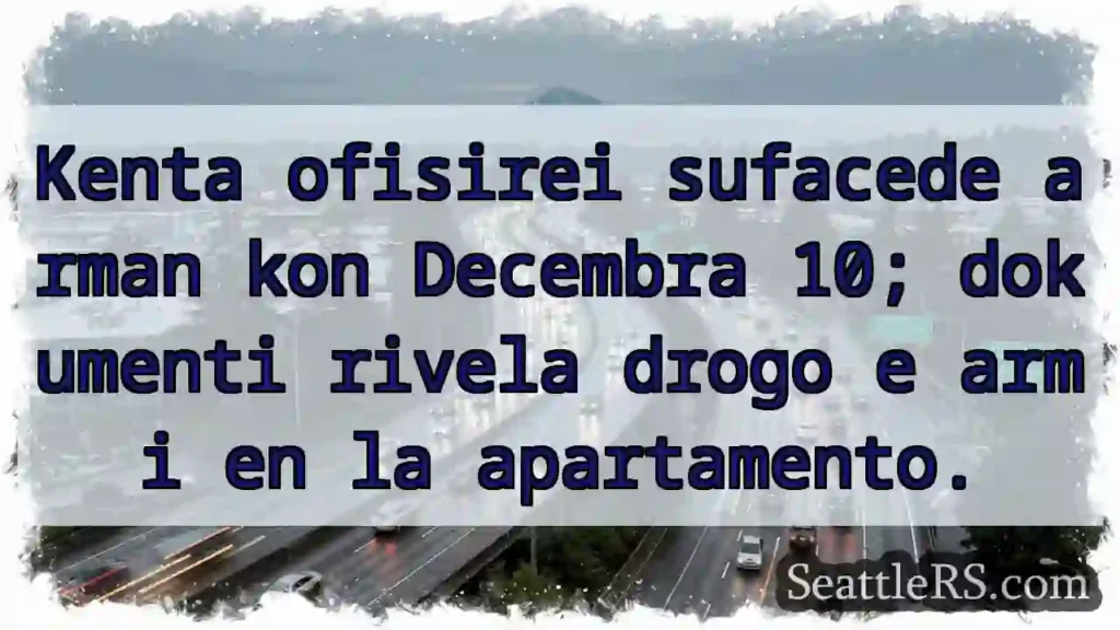 Decembra 10: Drogo e armi en la apartamento!