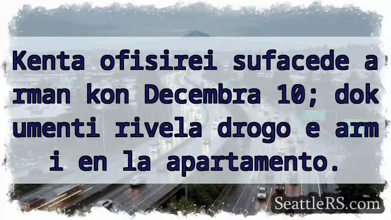 Decembra 10: Drogo e armi en la apartamento!