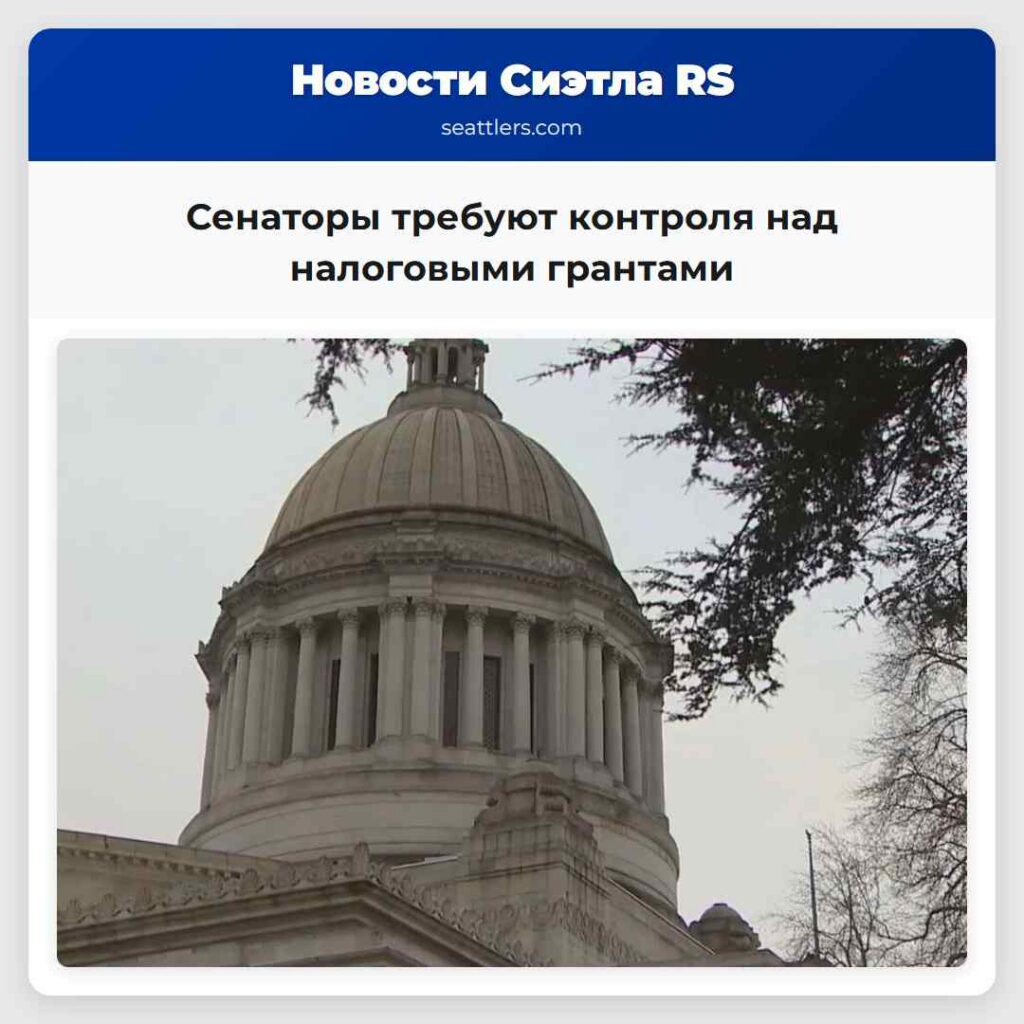 Сенаторы требуют контроля над налоговыми грантами