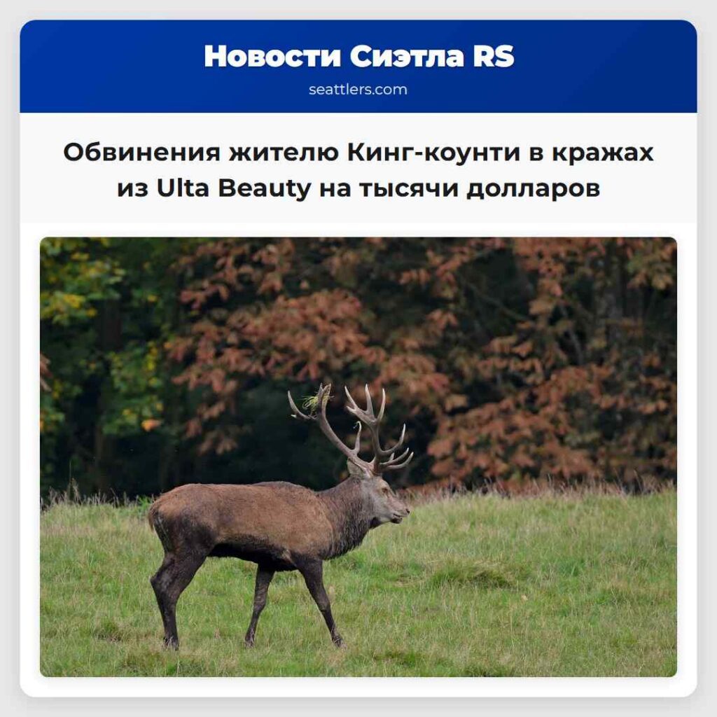 Обвинения жителю Кинг-коунти в кражах из Ulta